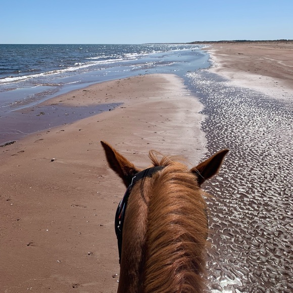 silver ring - Picture 4 of 4